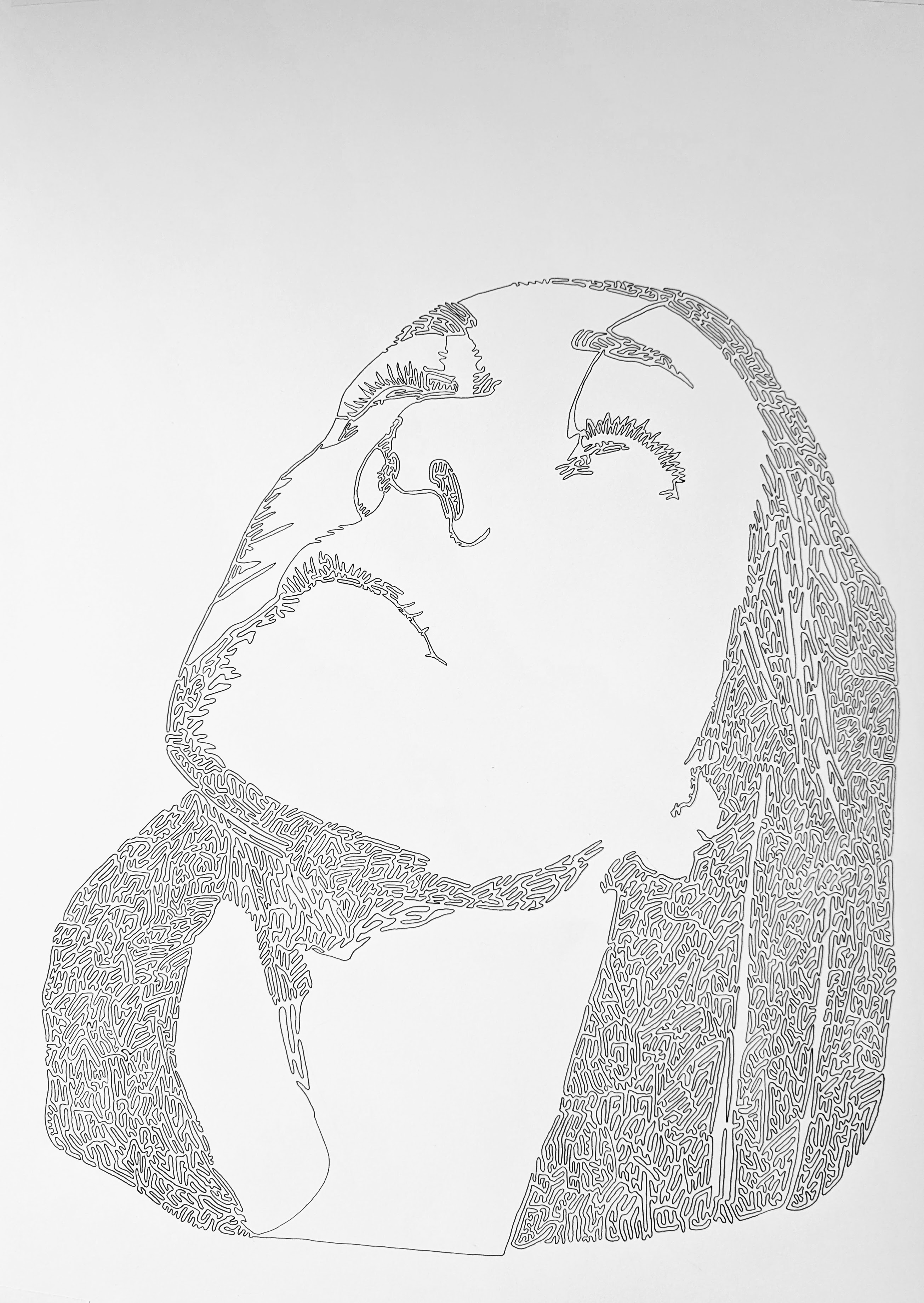 Line drawing of Jess